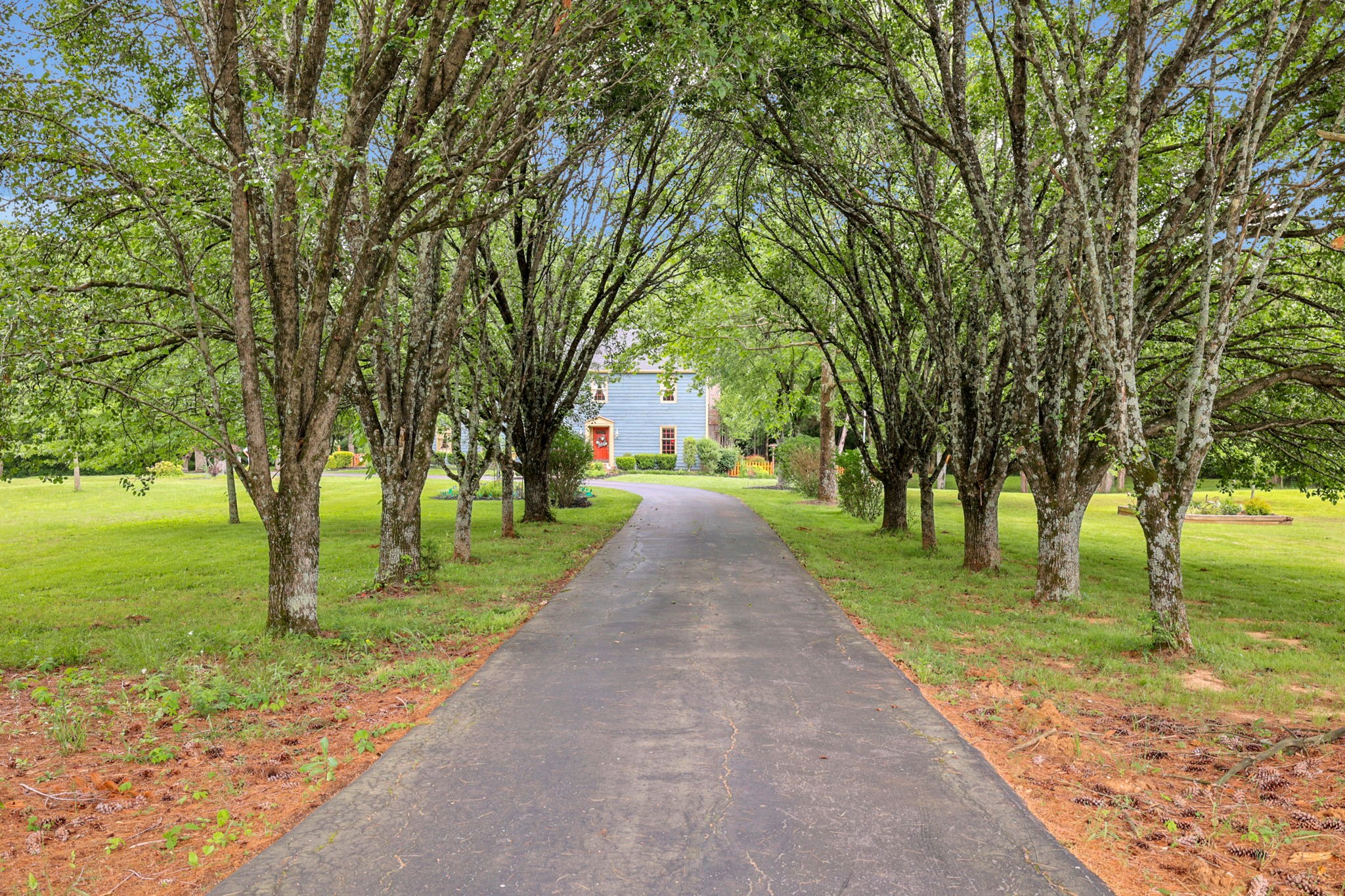 7797 Murfreesboro Road Lebanon, TN 37090 - Photo 3 of 57 a view of a park with large trees