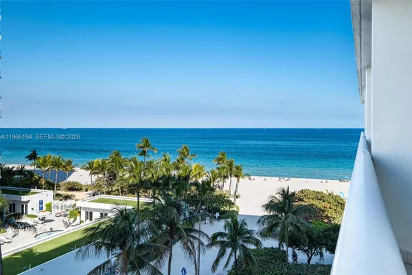 a view of a potted plants with sky view