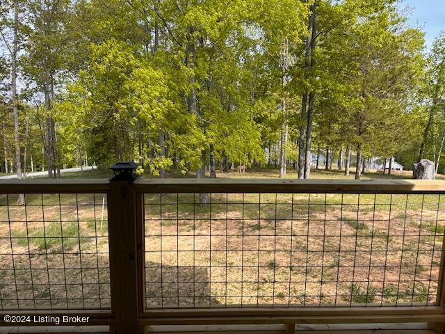 849 Indian Valley Road Falls Of Rough, KY 40119 - Photo 41 of 46 rear view 2