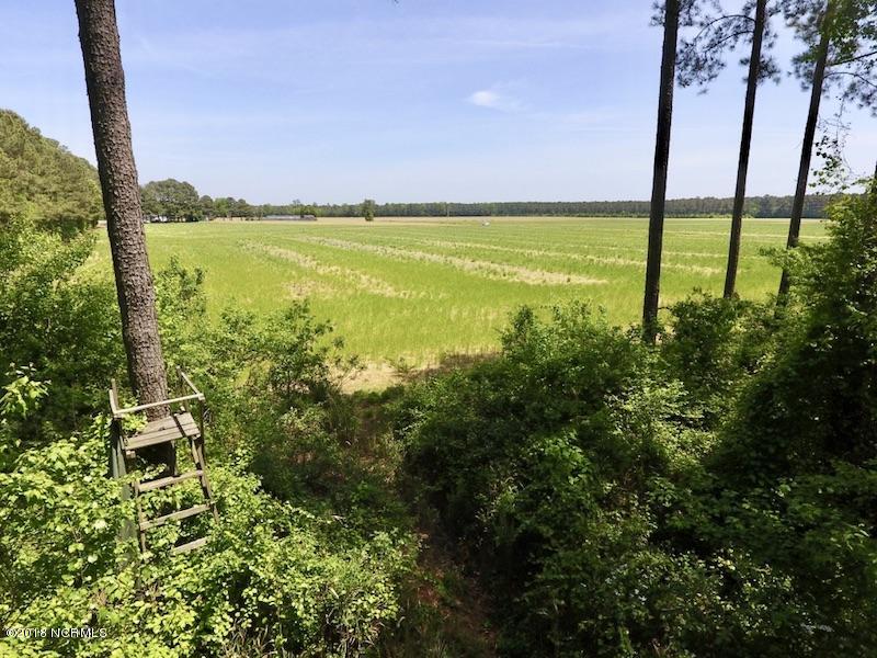 33-ac Tedder Road Lucama, NC 27851 - Photo 26 of 33 25