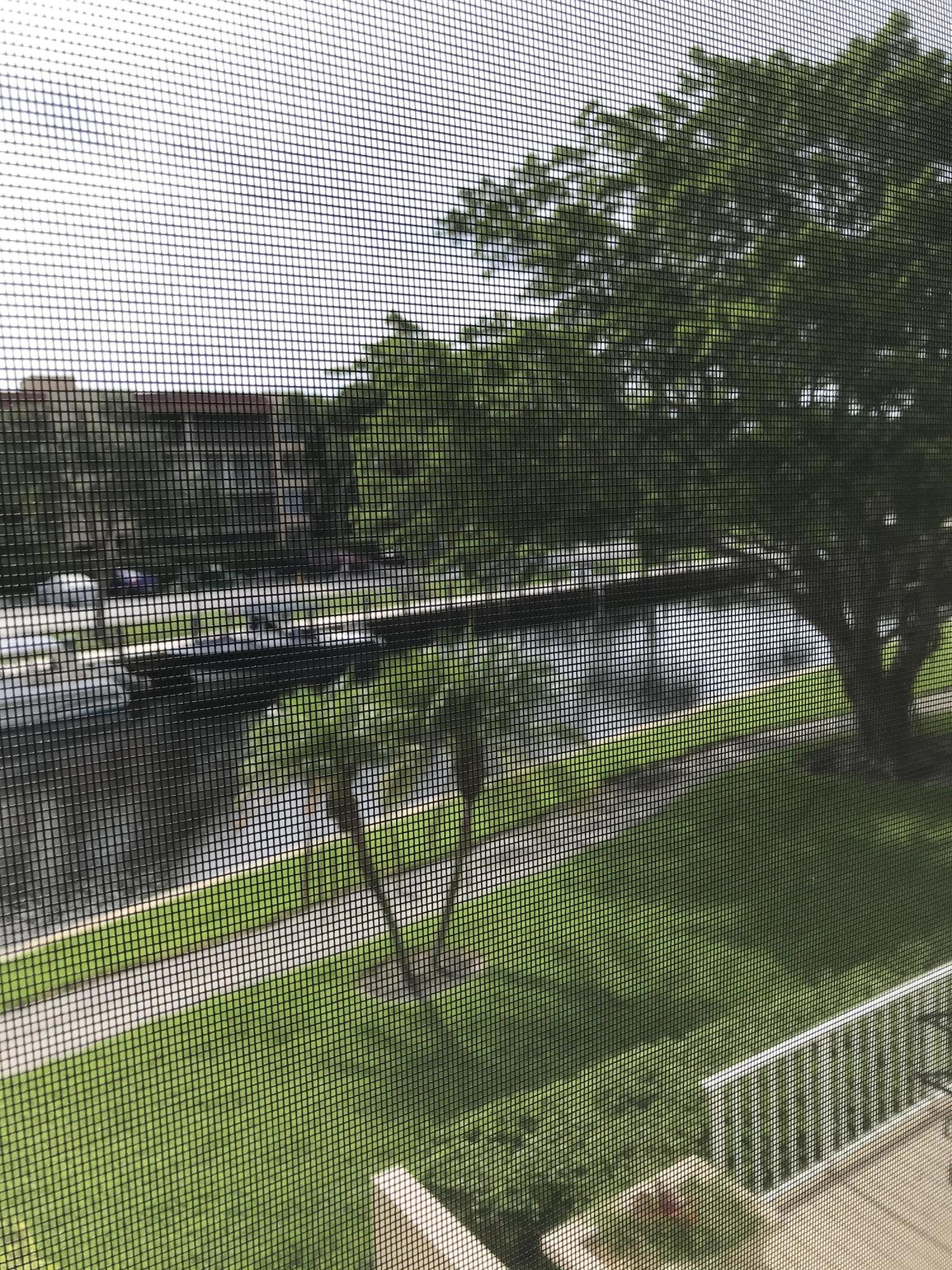 771 Jeffery Street, Unit 201 Boca Raton, FL 33487 - Photo 22 of 27 IMG_0078