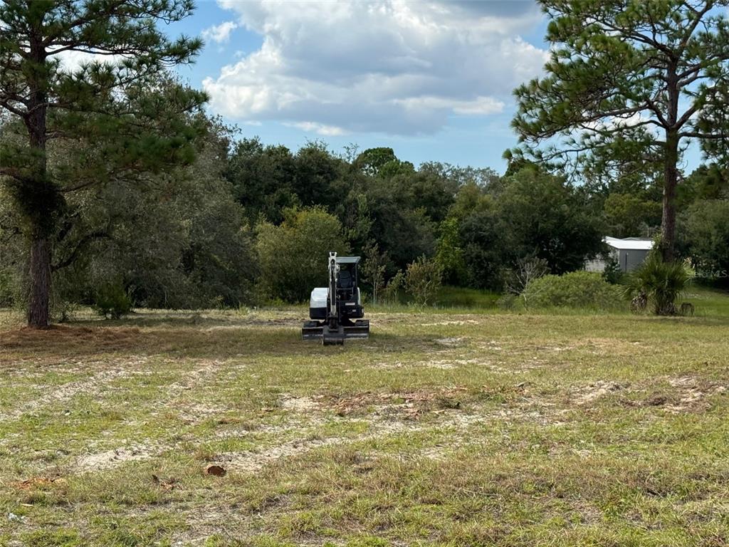 Indian Trail Road Weeki Wachee, FL 34613 - Photo 12 of 13 a view of a field with a tree