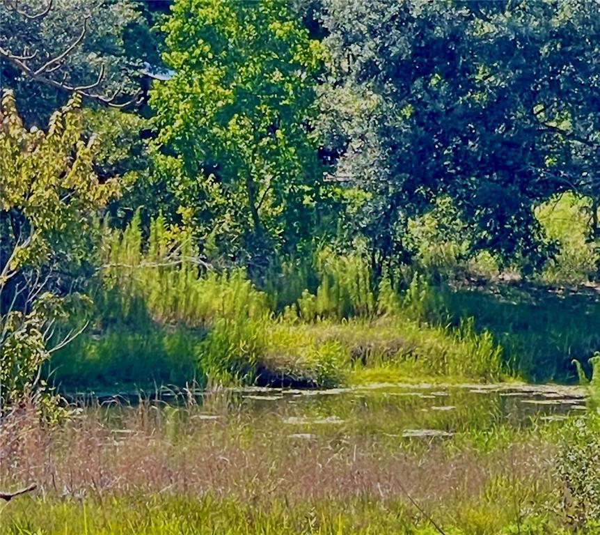 Indian Trail Road Weeki Wachee, FL 34613 - Photo 4 of 13 a view of swimming pool from a lake view