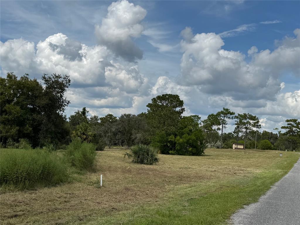 Indian Trail Road Weeki Wachee, FL 34613 - Photo 8 of 13 a view of a town