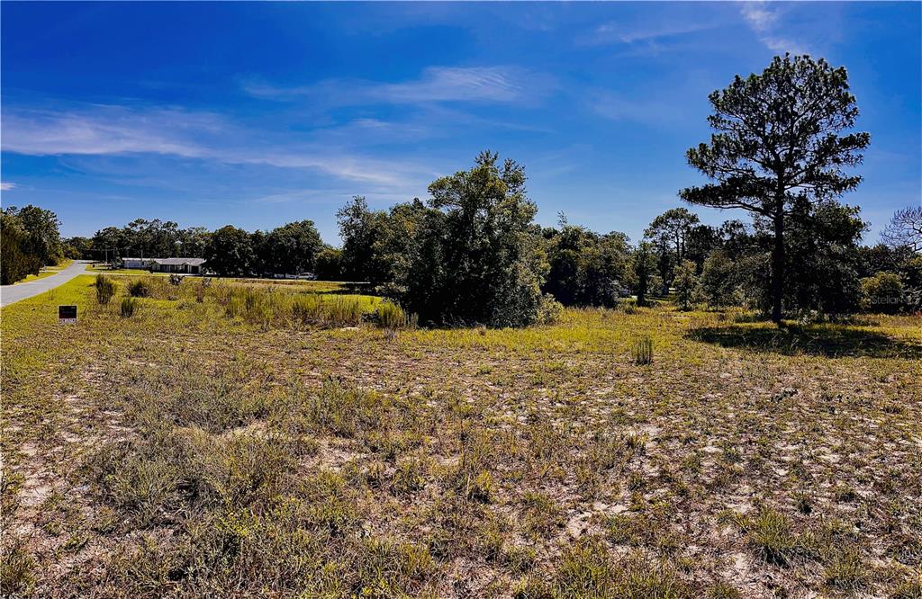 Indian Trail Road Weeki Wachee, FL 34613 - Photo 9 of 13 a view of yard with swimming pool and outdoor seating