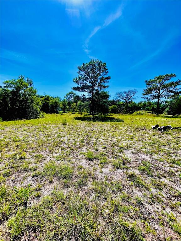 Indian Trail Road Weeki Wachee, FL 34613 - Photo 10 of 13 a view of a lake with a house