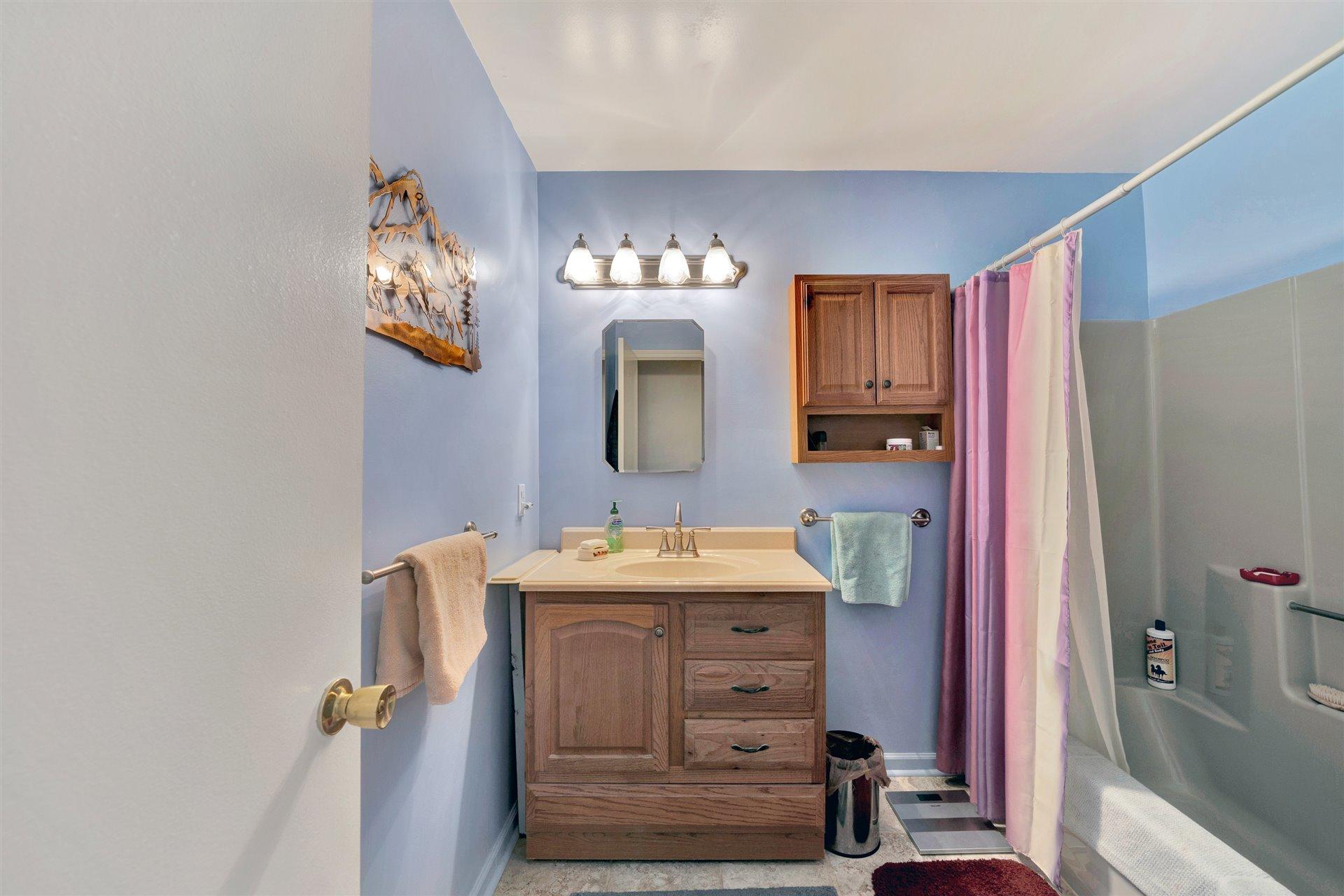 1401 Treasure Lane Blue Ridge, VA 24064 - Photo 9 of 23 a bathroom with a sink mirror and vanity