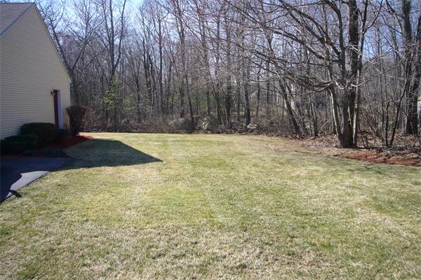 21 Autumn Road Medway, MA 02053 - Photo 5 of 13 a view of yard with trees