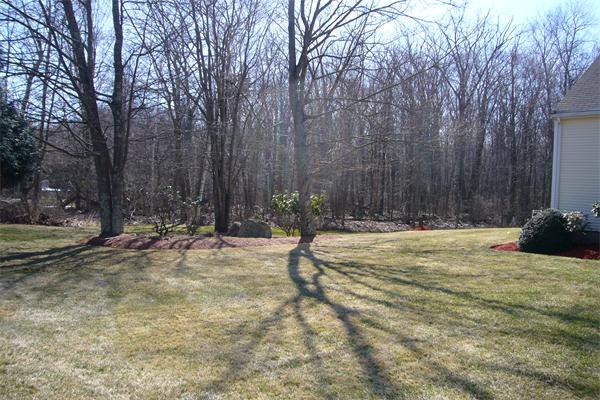 21 Autumn Road Medway, MA 02053 - Photo 6 of 13 a view of a yard with trees