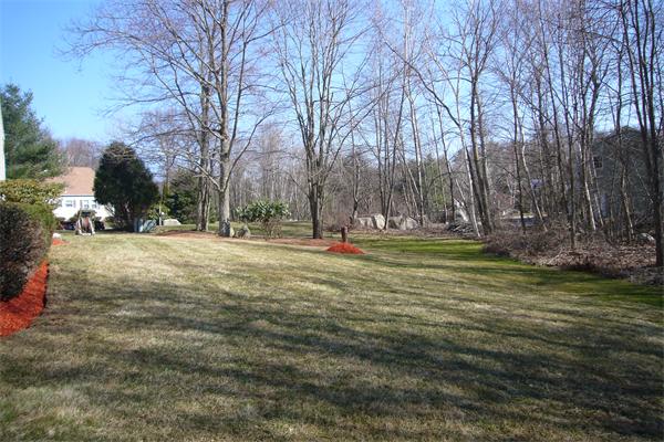 21 Autumn Road Medway, MA 02053 - Photo 8 of 13 a view of outdoor space with trees