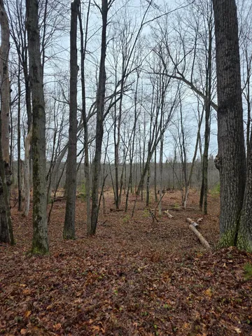 $84,900 | V/l North Hunters Way, White Cloud, MI 49349