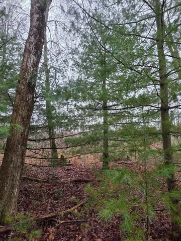 $84,900 | V/l North Hunters Way, White Cloud, MI 49349