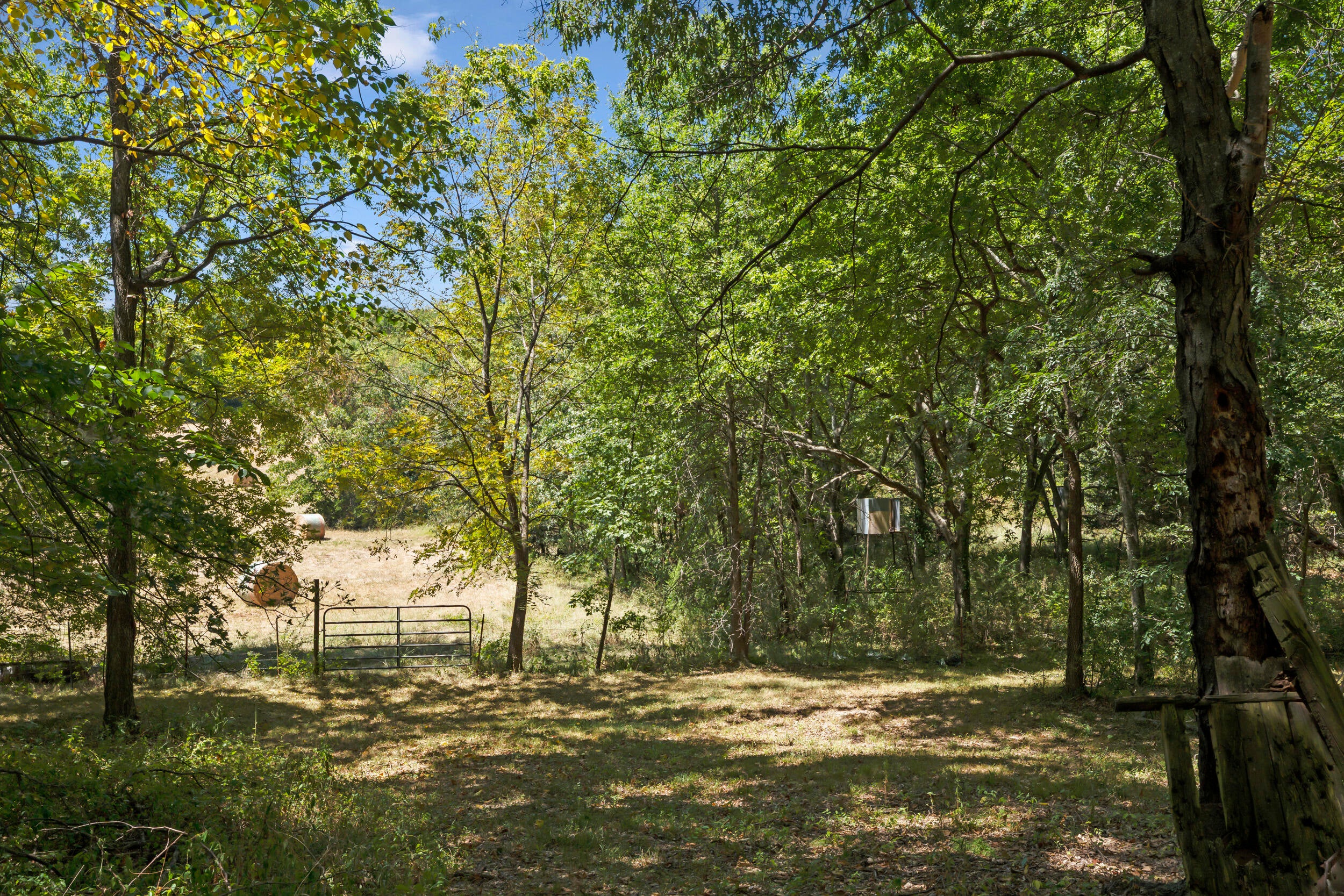 14651 South 615 Road Fairland, OK 74343 - Photo 3 of 40 Gallery Image 3