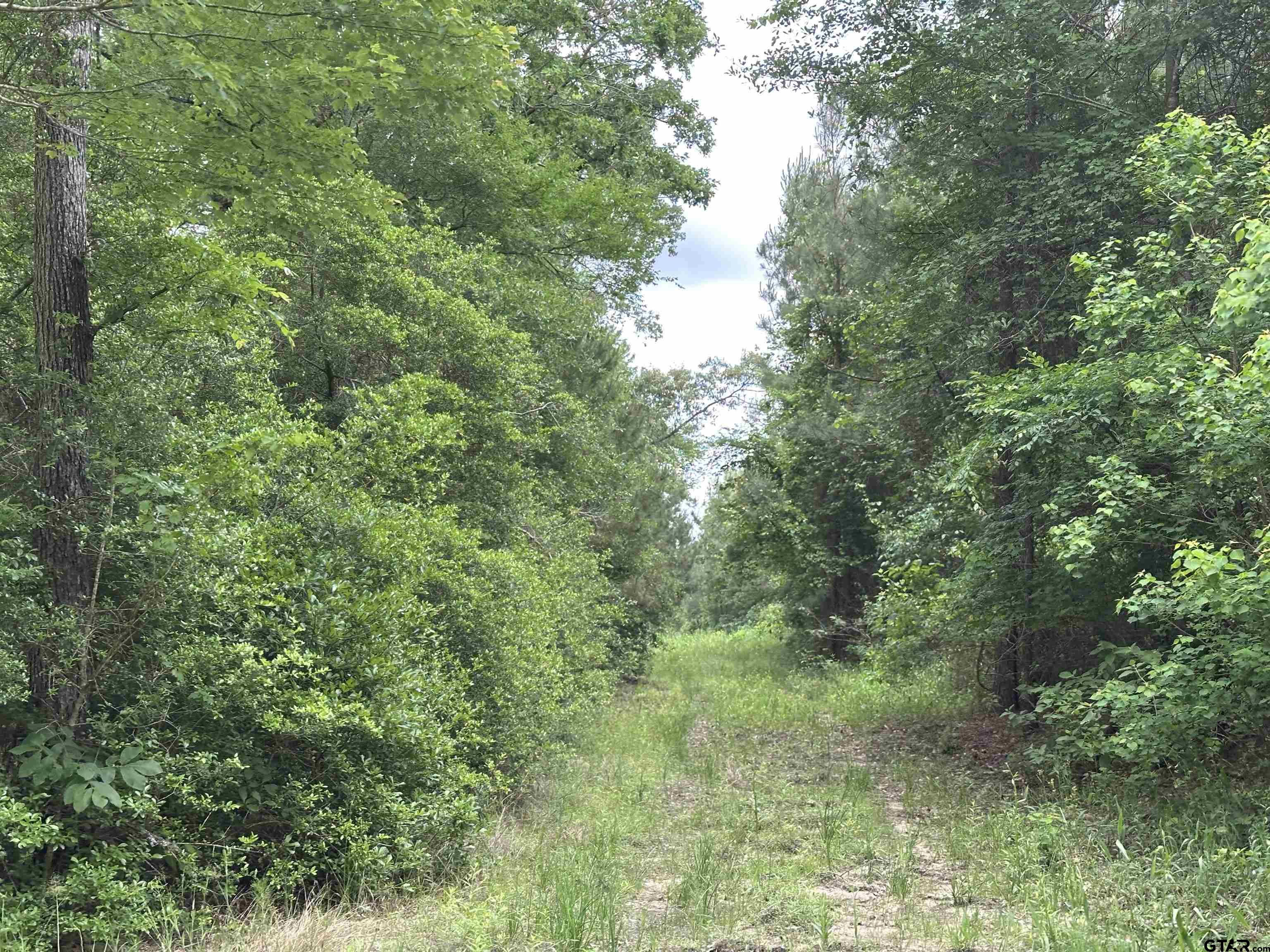 Tbd Sand Road Lufkin, TX 75904 - Photo 21 of 27