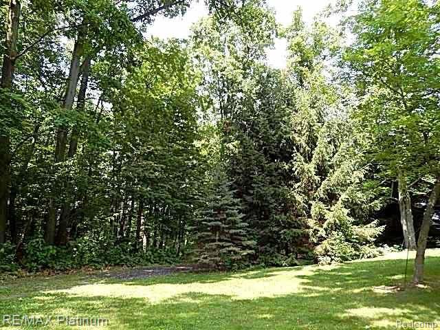 5355 Jewell Road Howell, MI 48843 - Photo 13 of 58 13.jpg