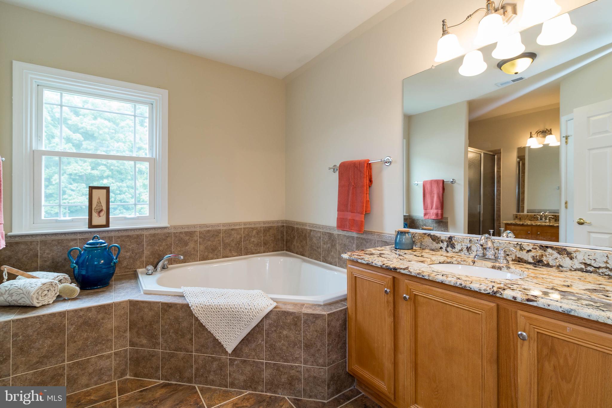 17608 Overlook Road Dumfries, VA 22026 - Photo 26 of 52 Owner's suite ensuite bath!