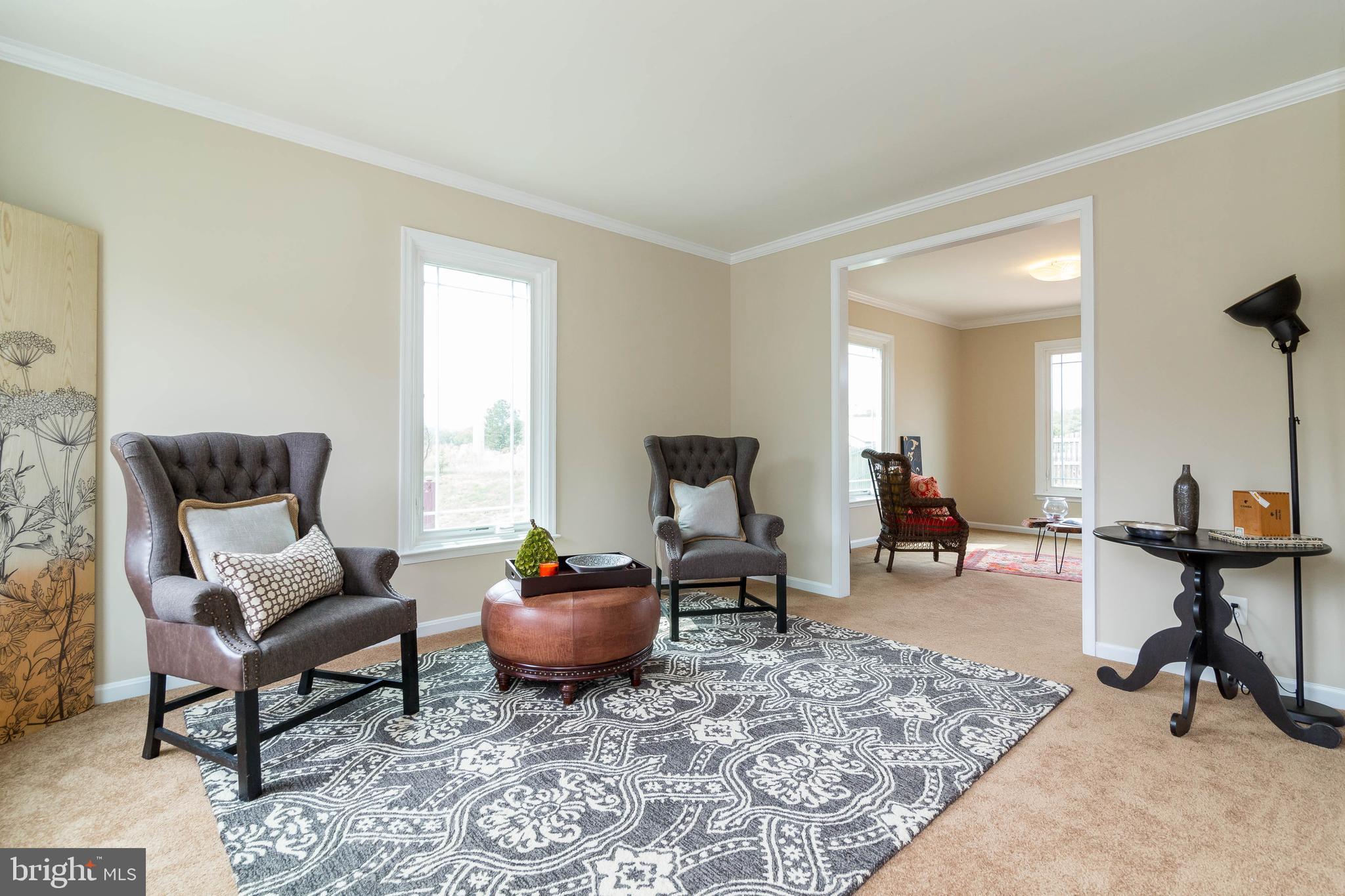 17608 Overlook Road Dumfries, VA 22026 - Photo 6 of 52 Living room!