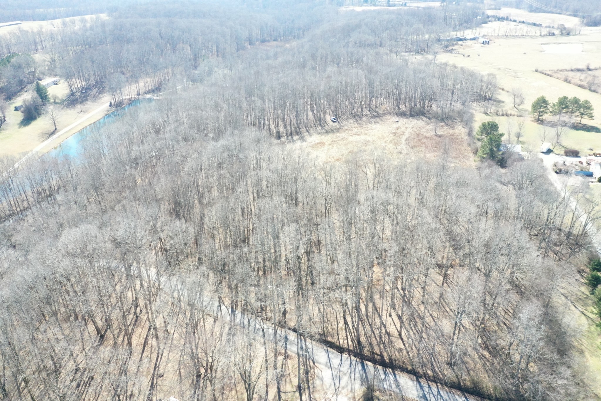 41 North Keener Road Leoma, TN 38468 - Photo 6 of 22 Gallery Image 6