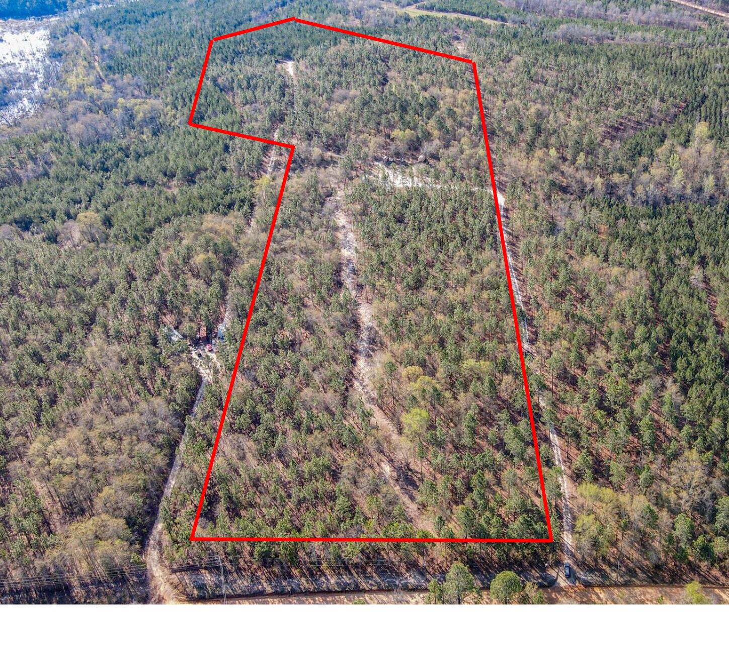 828 Hutto Pond Road Aiken, SC 29805 - Photo 3 of 10