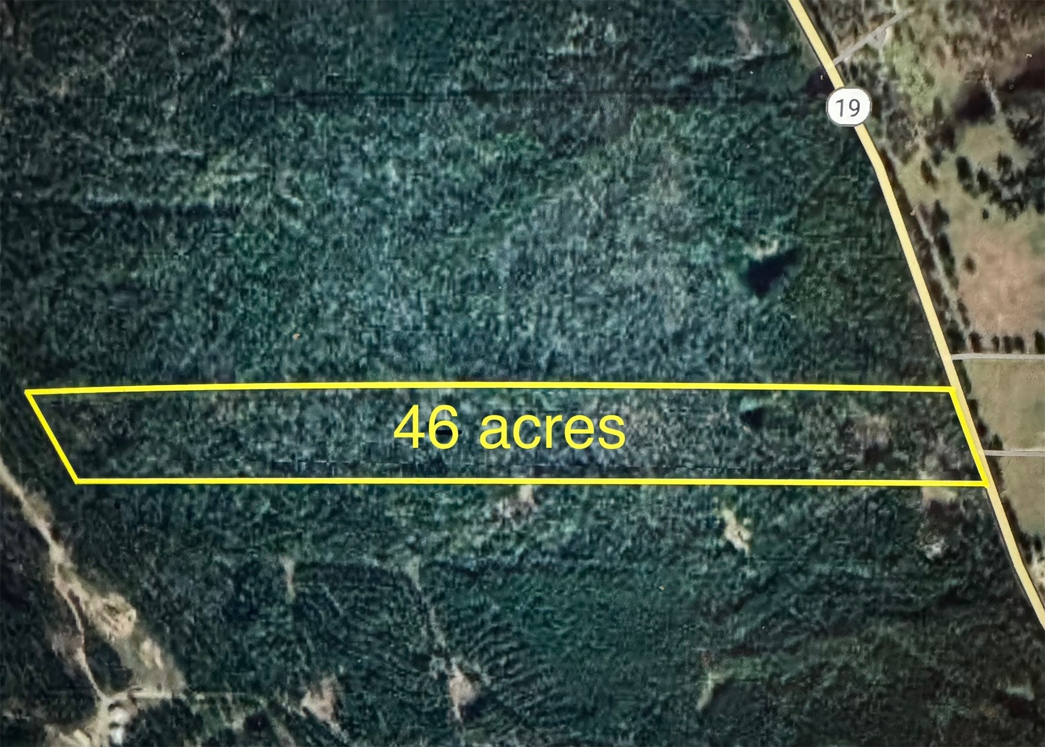 4109 Highway 19 Trinity, TX 75862 - Photo 1 of 6