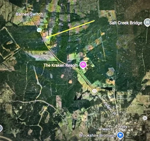 $600,000 | 4109 Highway 19, Trinity, TX 75862