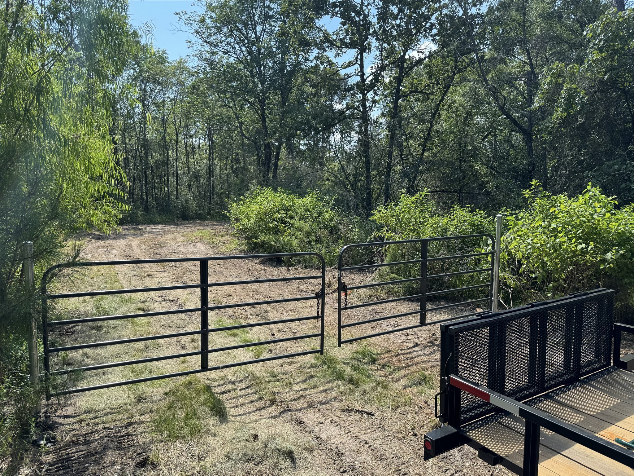 4109 Highway 19 Trinity, TX 75862 - Photo 3 of 6