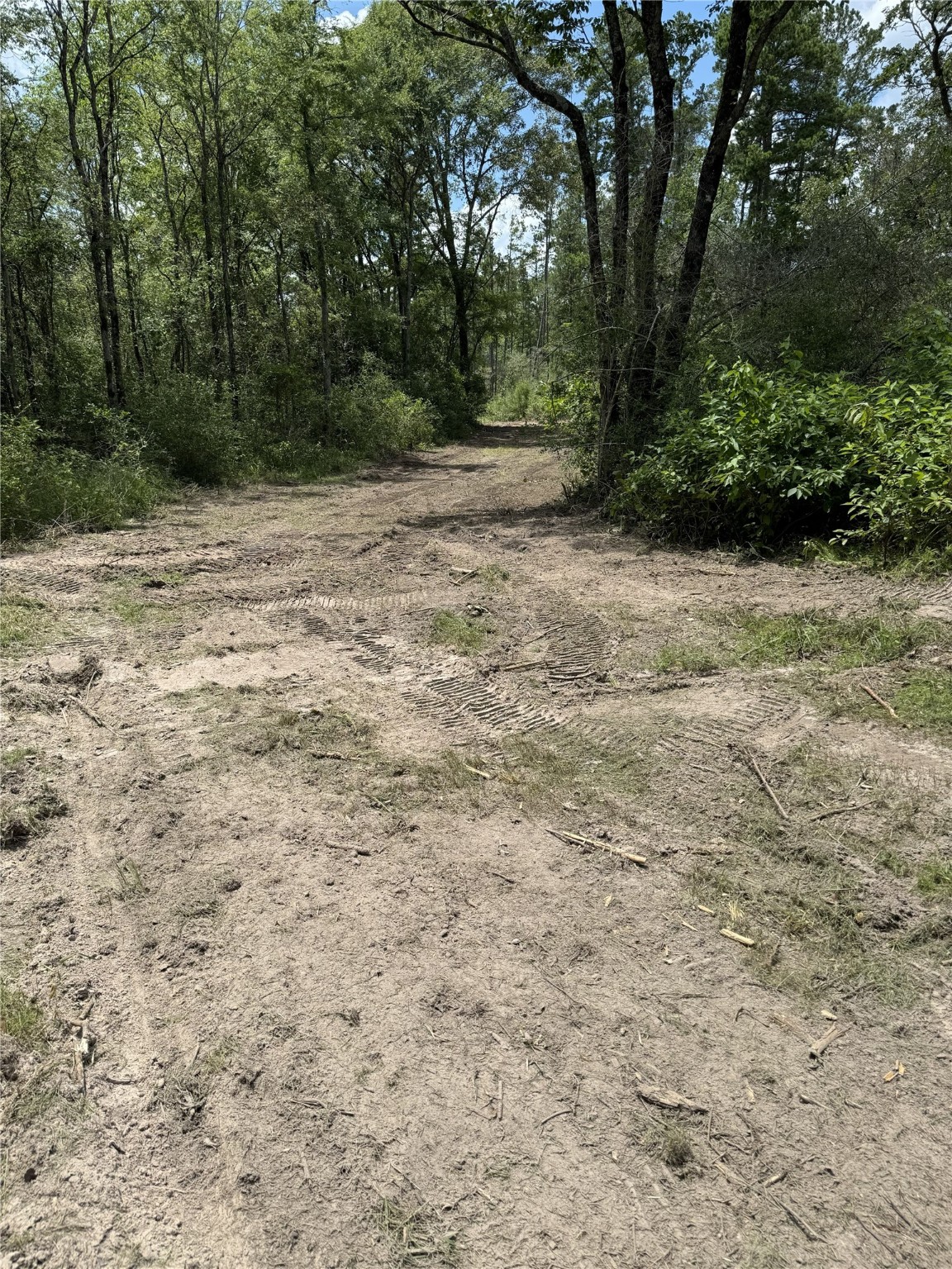 4109 Highway 19 Trinity, TX 75862 - Photo 4 of 6