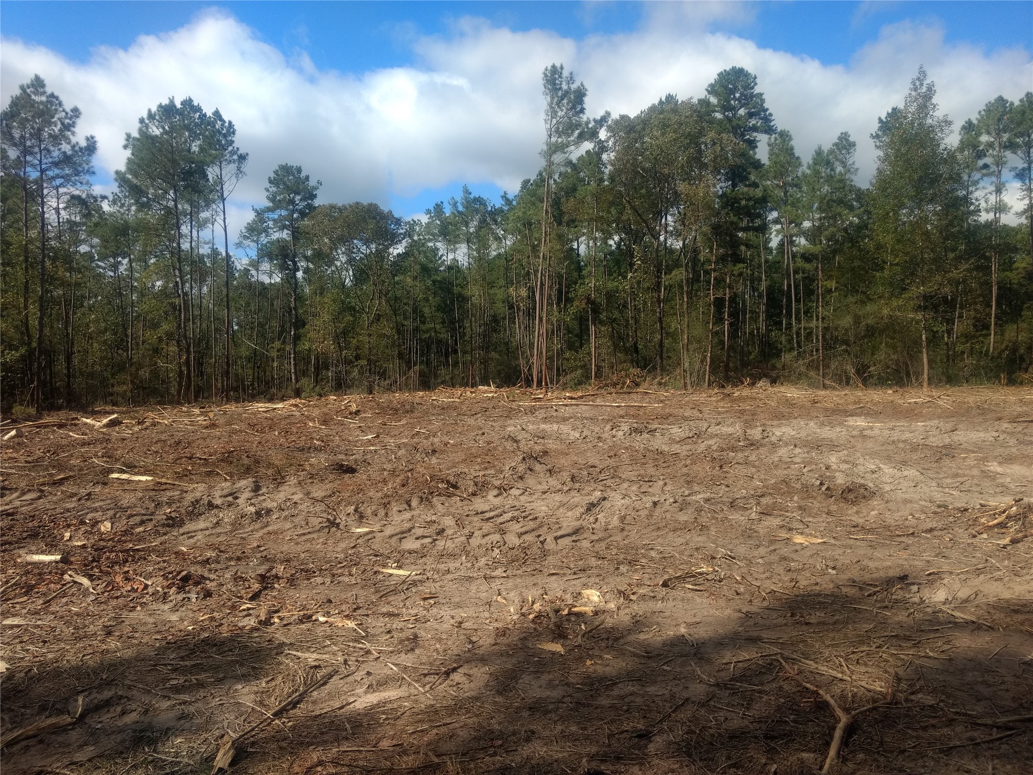 4109 Highway 19 Trinity, TX 75862 - Photo 5 of 6