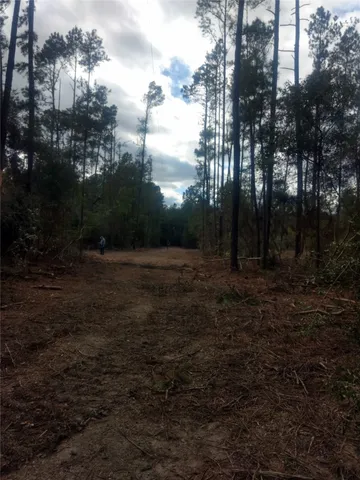 $600,000 | 4109 Highway 19, Trinity, TX 75862