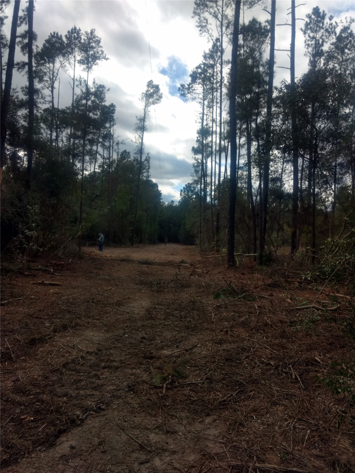 4109 Highway 19 Trinity, TX 75862 - Photo 6 of 6