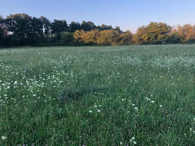 $69,500 | 40485 Belle Foret Drive, Wadsworth, IL 60083