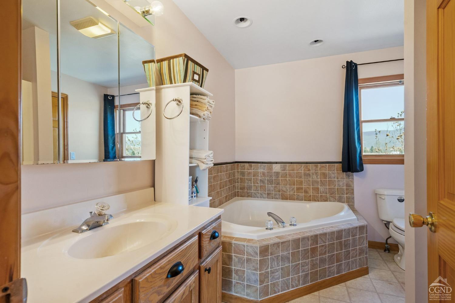 16 Deerfield Circle Copake, NY 12516 - Photo 13 of 40 a bathroom with a tub a sink and a mirror