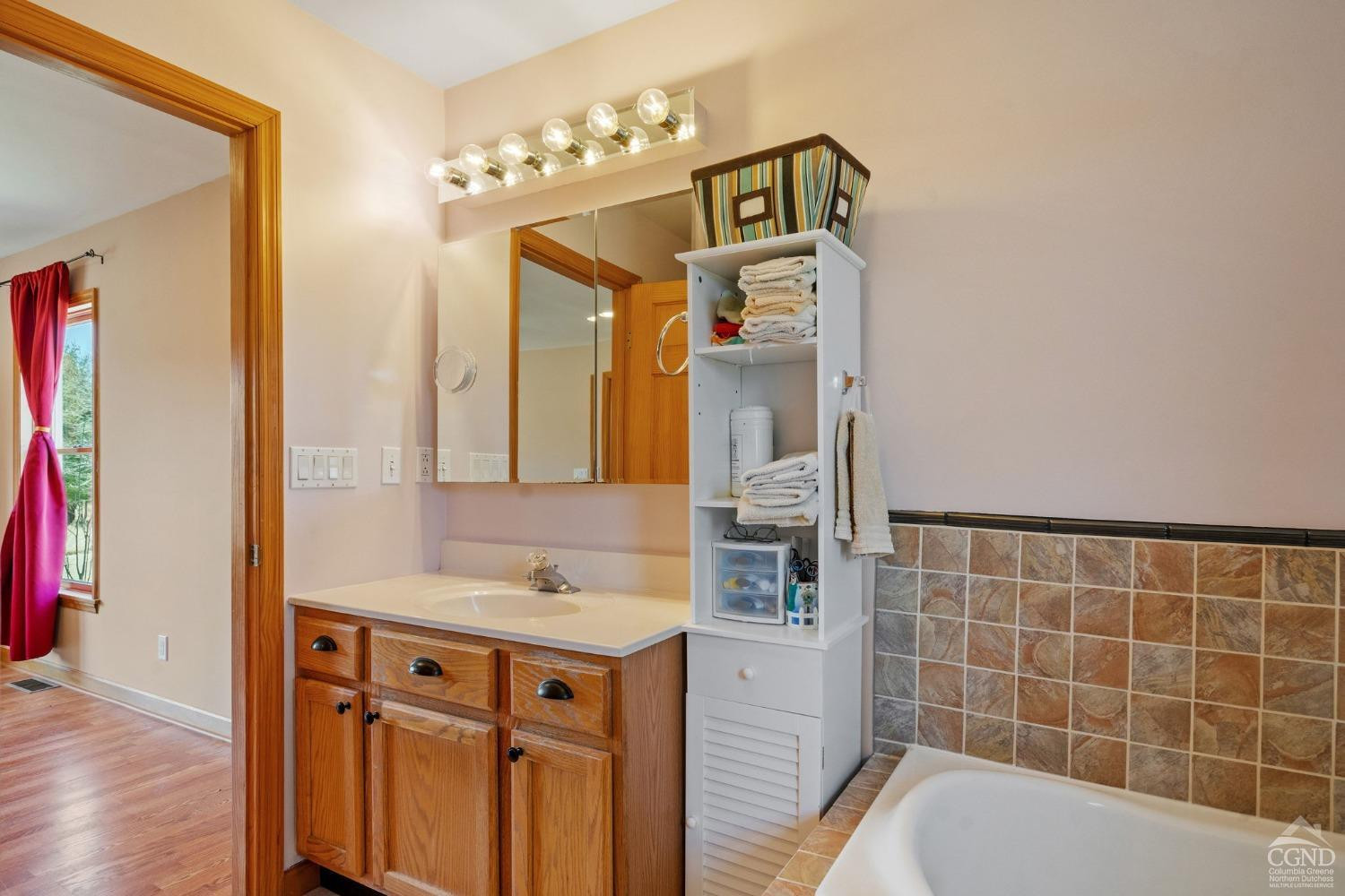 16 Deerfield Circle Copake, NY 12516 - Photo 14 of 40 a bathroom with a sink and a mirror
