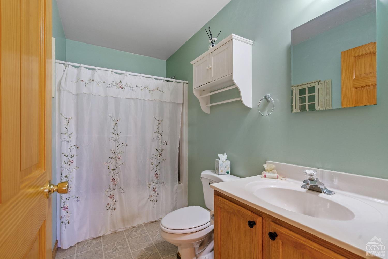 16 Deerfield Circle Copake, NY 12516 - Photo 18 of 40 a bathroom with a sink toilet and shower