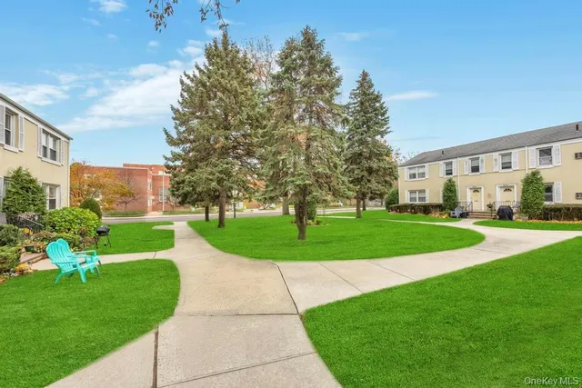 a garden view with tall trees