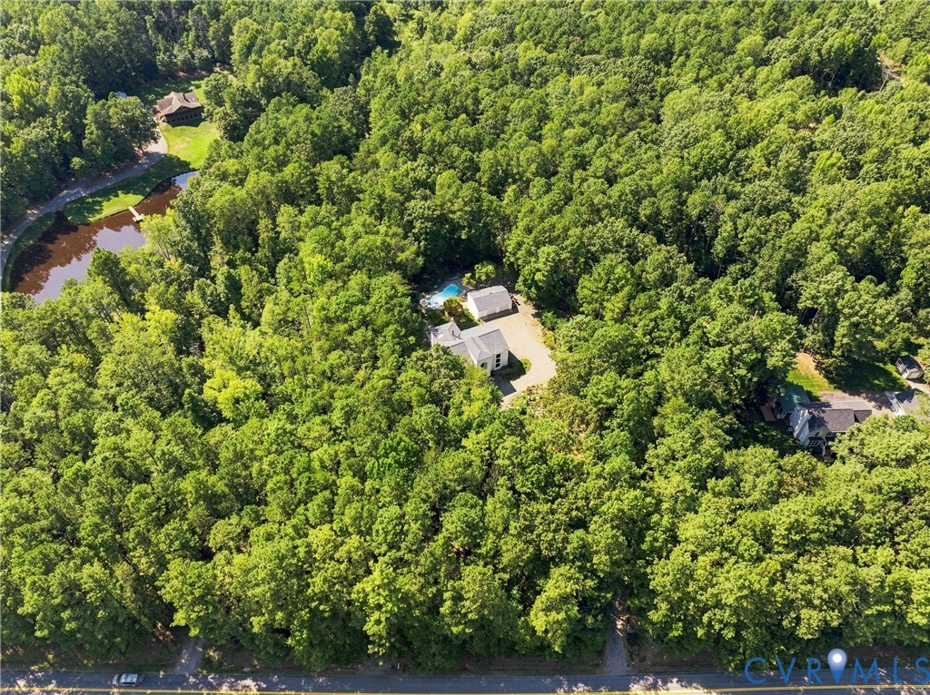 17089 Goshen Road Montpelier, VA 23192 - Photo 56 of 64 Expansive wooded property featuring a private swim
