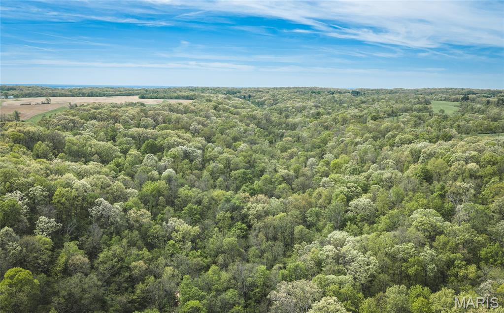 17816 Powerline Road Grafton, IL 62037 - Photo 22 of 50