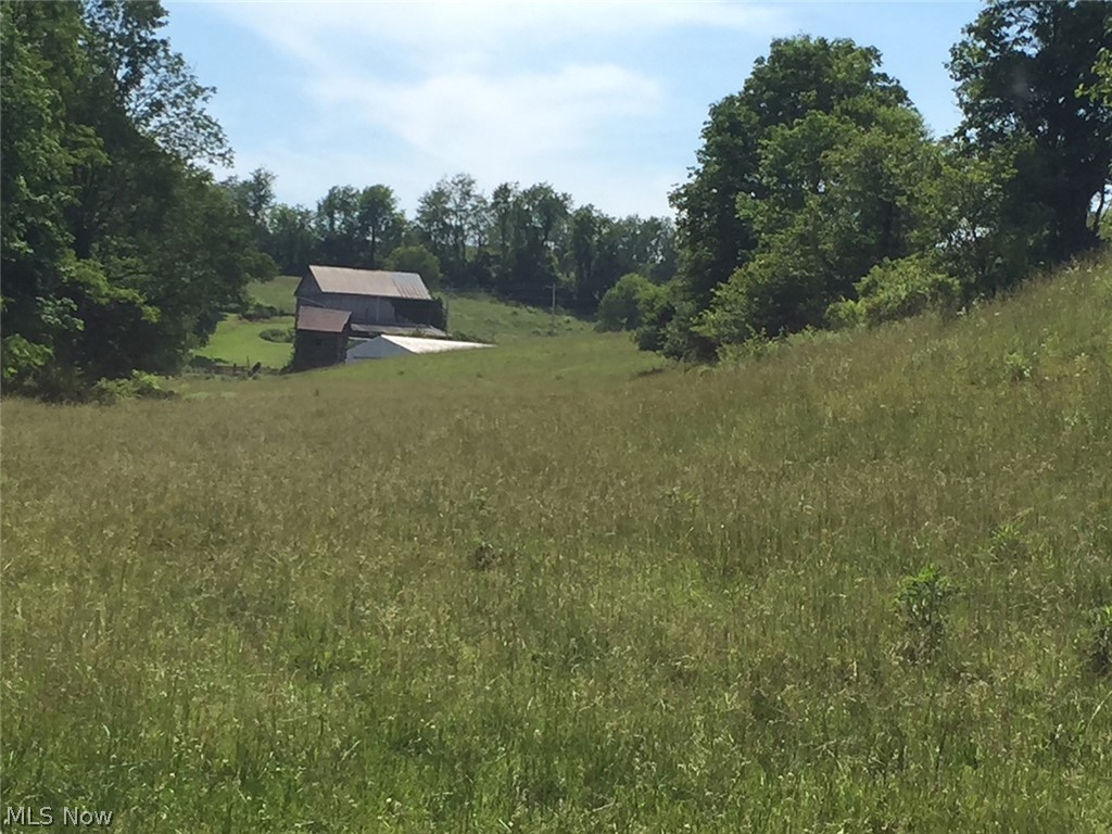 53354 Boston Road Jerusalem, OH 43747 - Photo 8 of 13