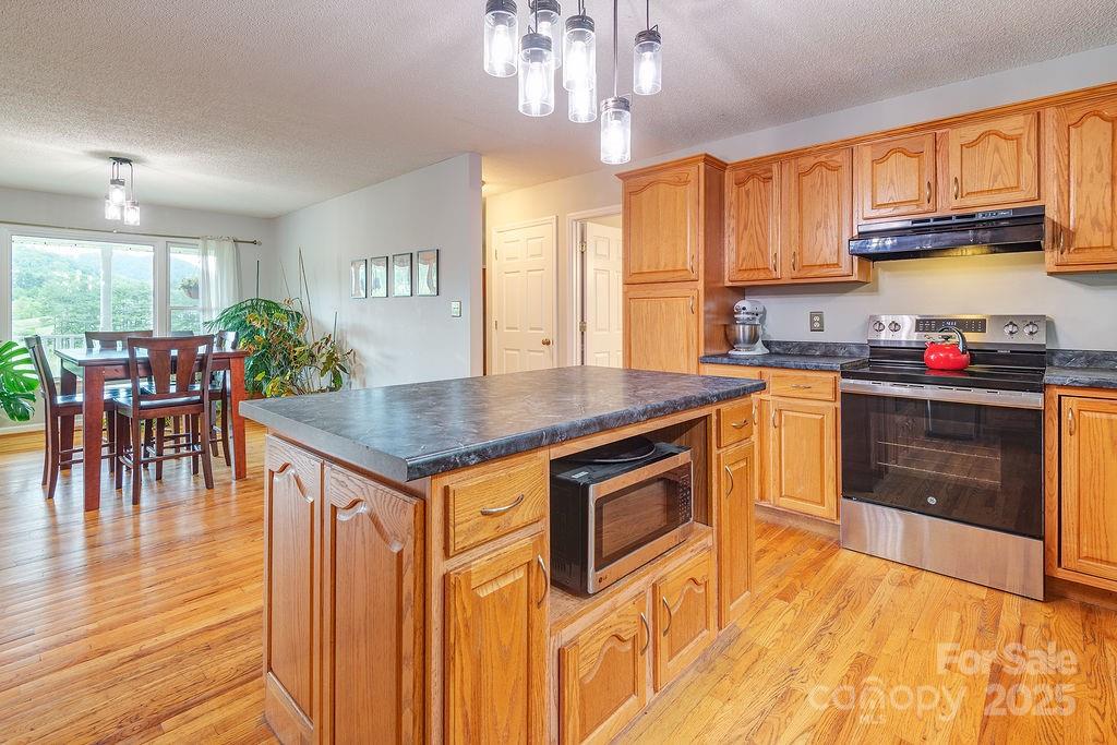 908 Newfound Road Leicester, NC 28748 - Photo 18 of 46 a kitchen with a stove a sink dishwasher and a dining table with wooden floor