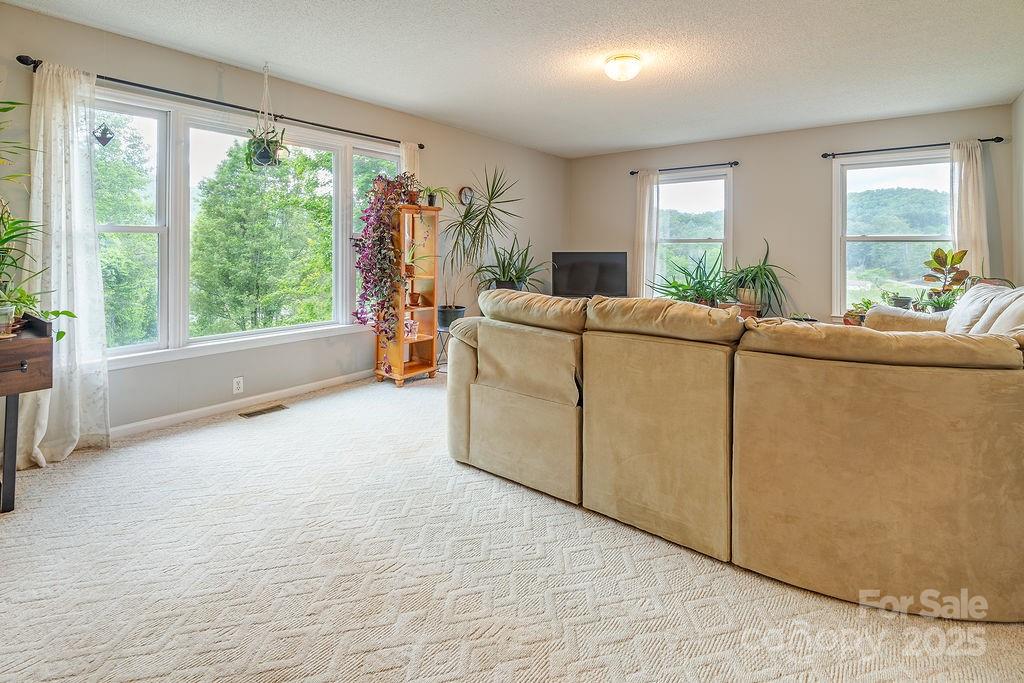 908 Newfound Road Leicester, NC 28748 - Photo 24 of 46 a living room with furniture and windows