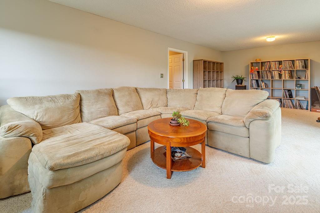 908 Newfound Road Leicester, NC 28748 - Photo 26 of 46 a living room with furniture and a couch