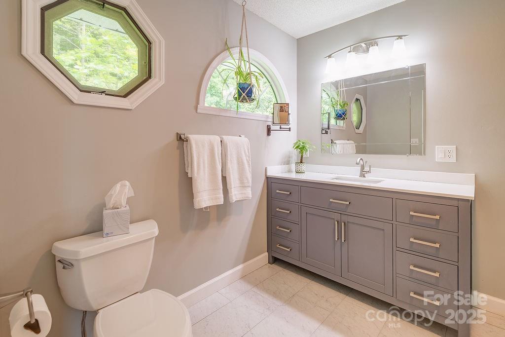 908 Newfound Road Leicester, NC 28748 - Photo 31 of 46 a spacious bathroom with a toilet sink and mirror