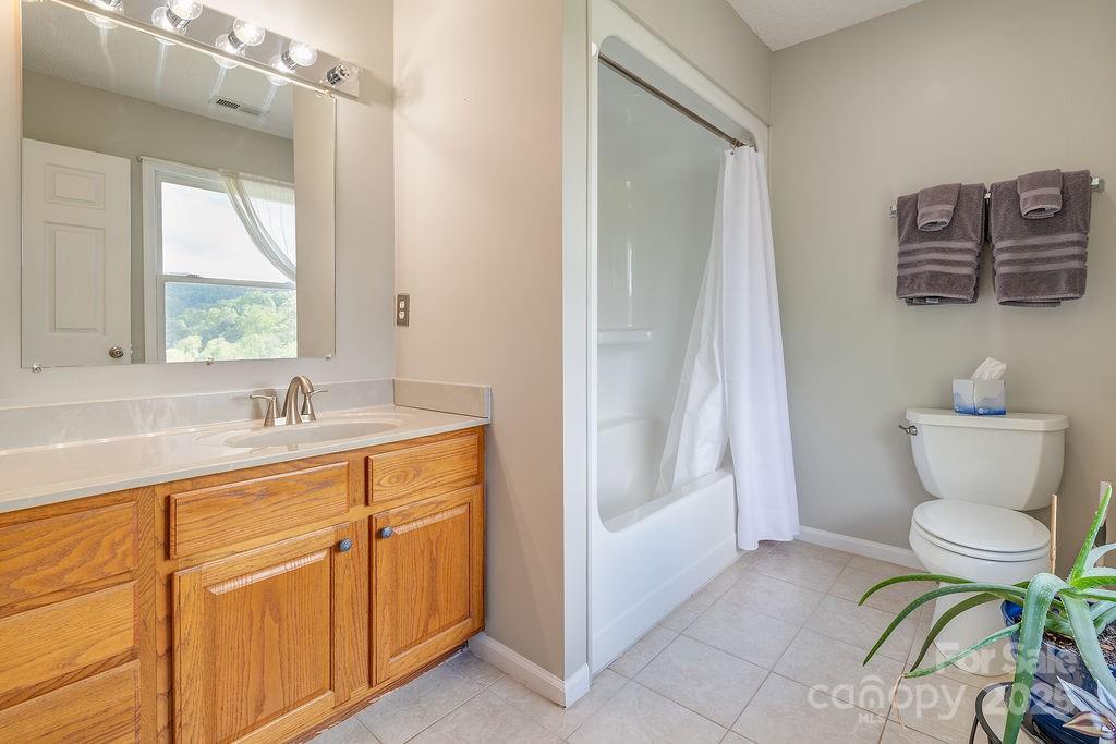 908 Newfound Road Leicester, NC 28748 - Photo 37 of 46 a bathroom with a sink toilet and window