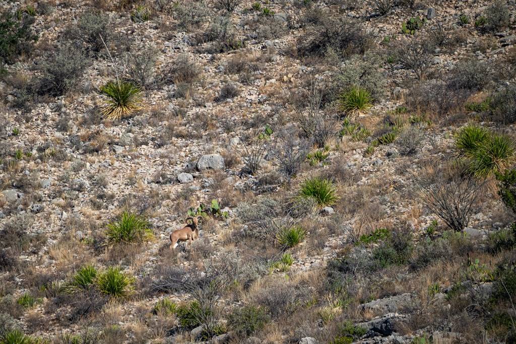 0 Northwest Pandale-langtry Co Road Ozona, TX 76943 - Photo 20 of 35