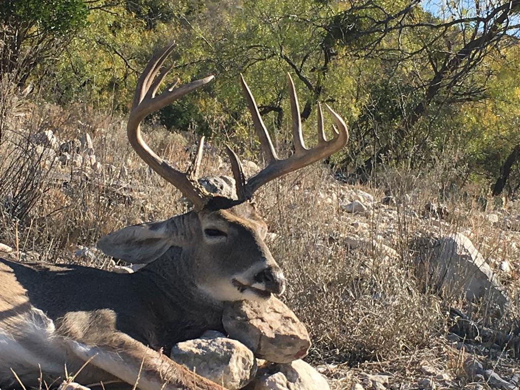 0 Northwest Pandale-langtry Co Road Ozona, TX 76943 - Photo 24 of 35