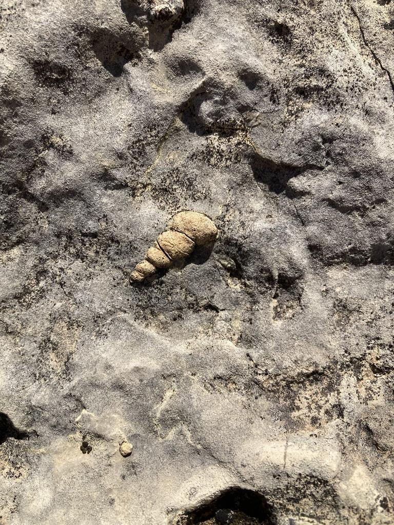 0 Northwest Pandale-langtry Co Road Ozona, TX 76943 - Photo 30 of 35