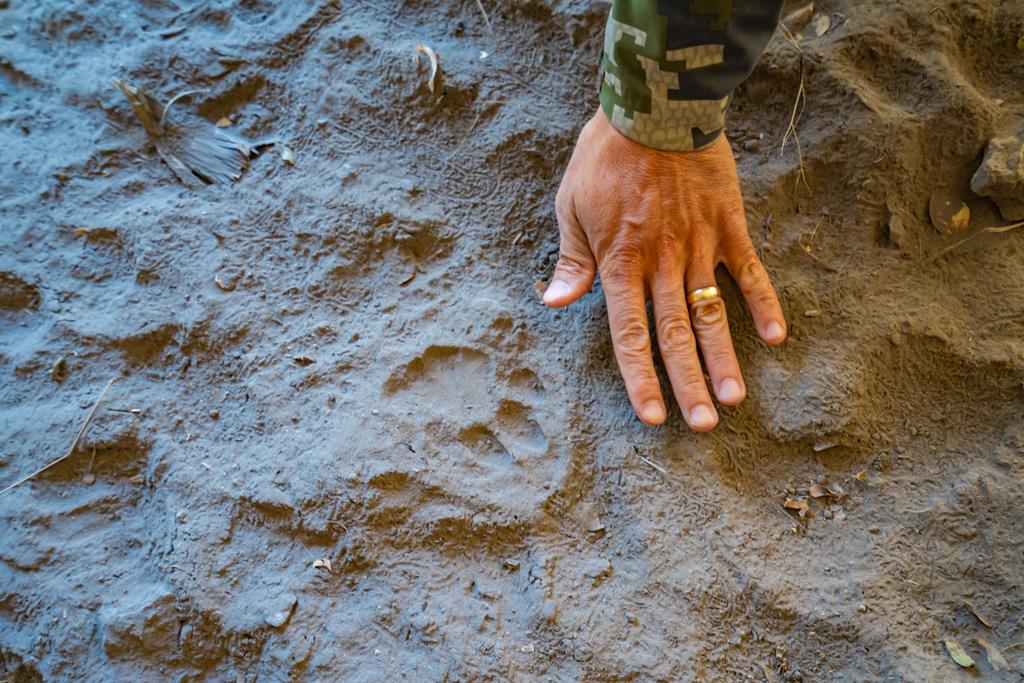 0 Northwest Pandale-langtry Co Road Ozona, TX 76943 - Photo 34 of 35