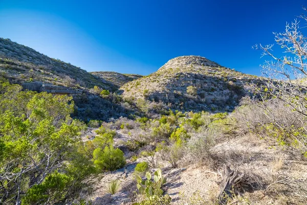 $9,348,900 | 0 Northwest Pandale-langtry Co Road, Ozona, TX 76943