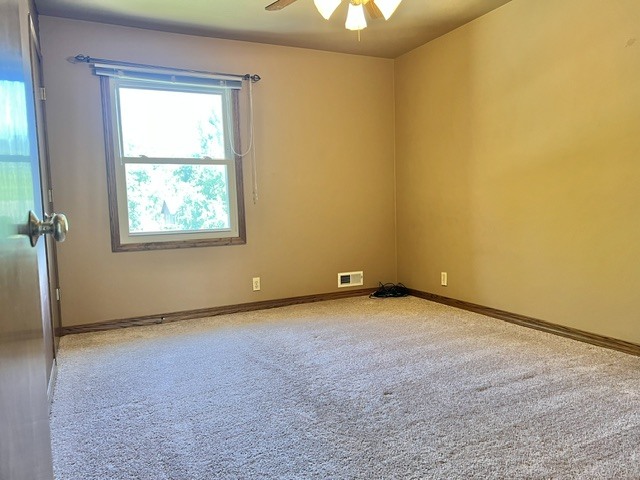 107 Hilltop Street Colona, IL 61241 - Photo 23 of 39