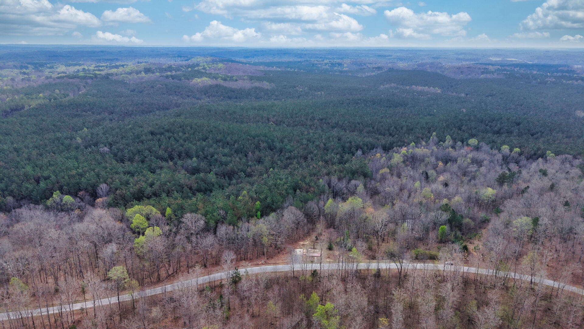 2025 Williams Grove Road Camden, TN 38320 - Photo 11 of 12